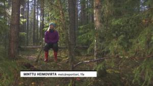 Mennään metsään: 05.10.2018 08.29