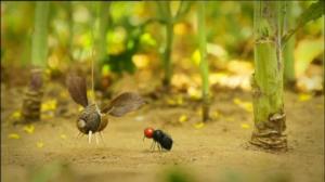 Ruohonjuuritasolla (S): 18.10.2018 18.54