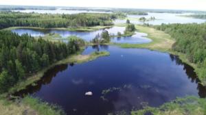 Luonto lähellä: 15.10.2018 08.30