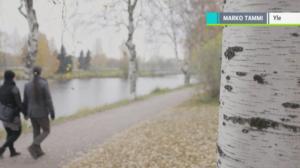 Yle Uutiset selkosuomeksi: 19.10.2018 15.05
