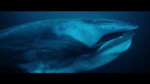 Etelä-Atlantin vedenalaiset vuoret: 12.11.2018 06.00