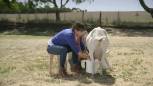 Rachel Khoo: Ruokatuliaisia Australiasta: 16.11.2018 11.30