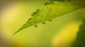 Ruohonjuuritasolla (S): 22.11.2018 18.54