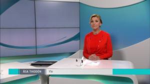 Yle Nyheter TV-nytt: 21.11.2018 17.55