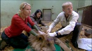 Elämäni eläimet: Eläinsairaalassa: 30.11.2018 11.30