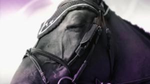 Ratsastuksen maailma: 10.12.2018 15.00