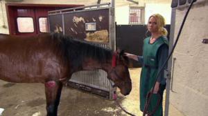 Elämäni eläimet: Eläinsairaalassa: 14.12.2018 11.30