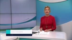 Yle Nyheter TV-nytt: 22.12.2018 17.55