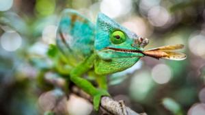 Menestyksen avain: 24.12.2018 08.05