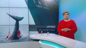 Yle Uutiset viittomakielellä: 26.12.2018 16.55