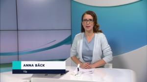 Yle Nyheter TV-nytt: 29.12.2018 17.55