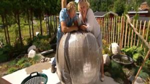 Iloa puutarhasta: 04.01.2019 10.01