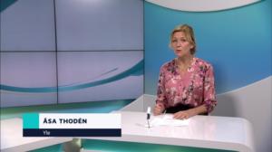 Yle Nyheter TV-nytt: 08.01.2019 17.55