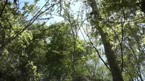 Luonto lähellä: 21.01.2019 07.00