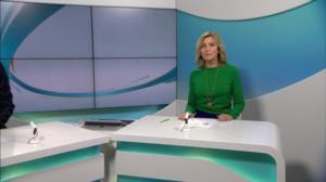 Yle Nyheter TV-nytt: 03.02.2019 17.55