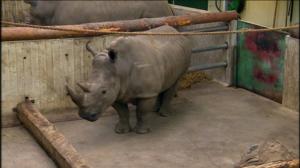 Elämäni eläimet: Eläinsairaalassa: 15.02.2019 10.30