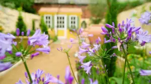 Rakkaudesta puutarhaan: 16.02.2019 07.10