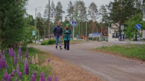 Kirkon kattomaalaukset, Toivakka: 19.02.2019 18.00