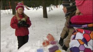 Lumileikit - Jääpalakauppa: 22.02.2019 18.00