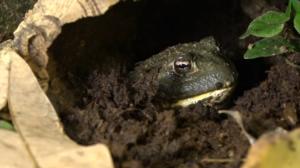 Luonto lähellä: 25.02.2019 08.00