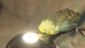 Norjaa ristiin rastiin: 11.03.2019 19.57