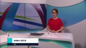 Yle Nyheter TV-nytt: 13.03.2019 17.55