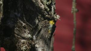 Strömsöstä poimittua: 19.03.2019 16.00