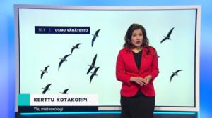 Sääennuste klo 18: 30.03.2019 18.14