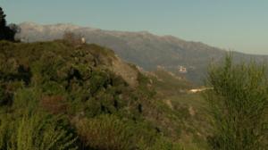 Rallin MM, Korsika, 2. päivän kooste: 30.03.2019 21.00