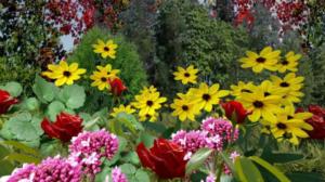 Iloa puutarhasta: 05.04.2019 09.00