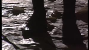 Tietoisku: Muotinäytös: 07.04.2019 00.01