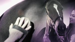 Ratsastuksen maailma: 07.04.2019 12.15