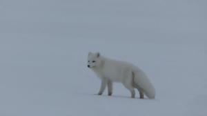 Luonto lähellä: 08.04.2019 08.13