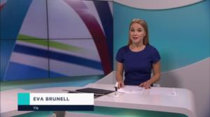 Yle Nyheter TV-nytt: 10.04.2019 17.55