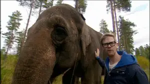 Elämäni eläimet: Eläinsairaalassa : 12.04.2019 10.32