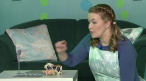 Opi viittomaan: Odottaa: 18.04.2019 10.00