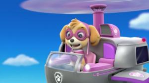 Pennut pelastavat lepakon / Hammashuolia (S): 29.04.2019 07.39