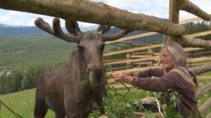 Norjaa ristiin rastiin: 03.05.2019 06.00