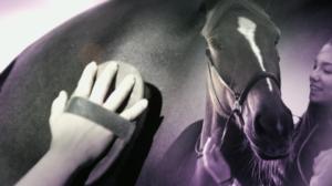 Ratsastuksen maailma: 05.05.2019 18.30