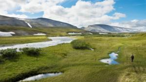 Luontoretkellä: Varangin niemimaalla : 06.05.2019 12.00