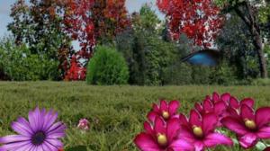 Iloa puutarhasta: 10.05.2019 09.00