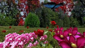 Iloa puutarhasta: 24.05.2019 09.00