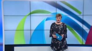Yle Uutiset Uusimaa 21-05-2019 klo 18-21: 21.05.2019 18.37