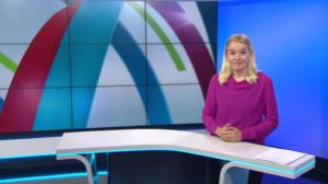 Yle Uutiset viittomakielellä: 06.06.2019 15.00