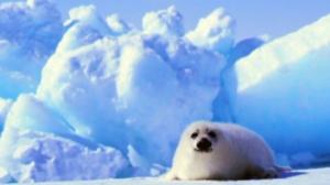 Jäätikkö: 12.06.2019 07.09