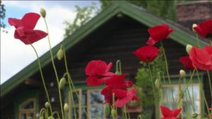 Iloa puutarhasta: 14.06.2019 09.00