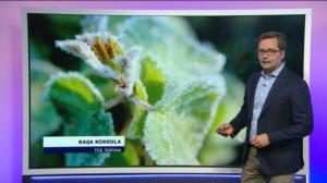 Sääennuste klo 7.00: 13.06.2019 07.31