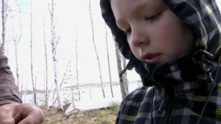 Linnunpöntöissä asukkaat: 17.06.2019 10.00