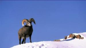 Vuoret: 19.06.2019 07.10