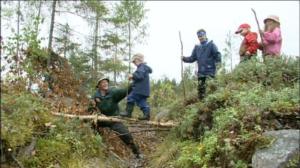Matkasauvat: 05.07.2019 10.00